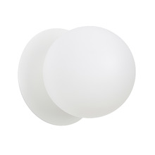 Lassie Opal Frosted Glass Cool White LED Outdoor Wall Light